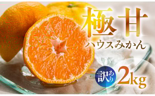 ≪先行予約≫ 超濃厚 ハウスみかん『蜜ツ星』 家庭用 2kg　マルカワ園芸