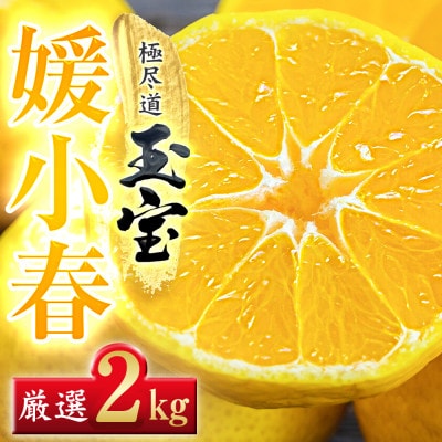 【愛媛名産】玉宝媛小春(ひめこはる)　2kg【D64−85】【1623968】