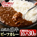 鹿児島黒牛ビーフカレー(160g×10P) 鹿児島 国産 黒牛 牛肉 ビーフ レトルトカレー パック ご当地カレー おかず 惣菜 ギフト 贈答 常温保存 常温【新村畜産】