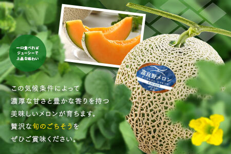 【2026年発送】富良野メロン4～5玉（計8kg以上）【JAふらの】【AC-015】