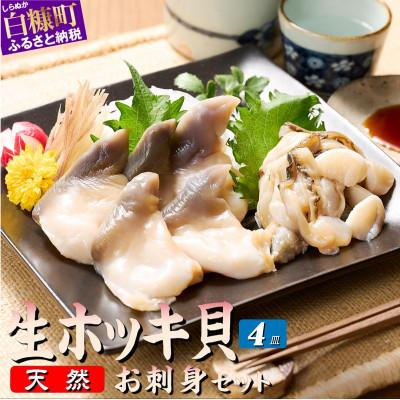 ふるさと納税 白糠町 北海道 天然 生 ホッキ貝 お刺身 セット　3〜4人前