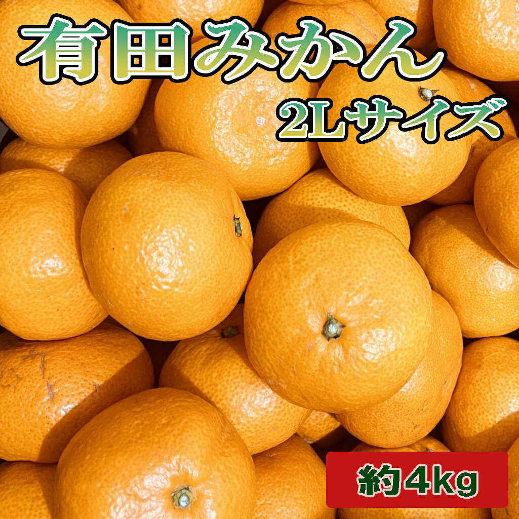 【ふるさと納税】[秀品]和歌山有田みかん約4kg(2Lサイズ) ※2026年11月中旬～2027年1月中旬頃に順次発送予定(お届け日指定不可) / みかん ミカン 果物 くだもの フルーツ 柑橘 和歌山 有田 有田みかん ありだみかん