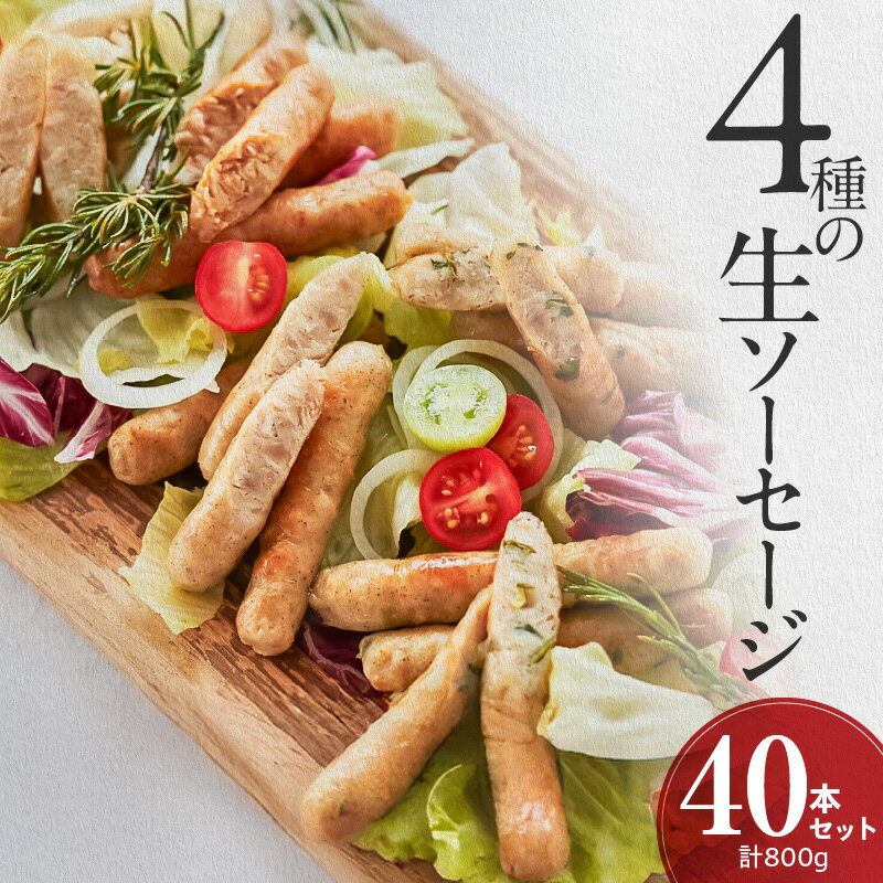 【ふるさと納税】無添加 生 ソーセージ 10本 × 4種 40本 800g 詰め合わせ 食べ比べ セット ウィンナー 生ソーセージ プレーン 味一ネギ 柚子胡椒 ニラ 小分け 国産 豚肉 鶏肉 お取り寄せ グルメ おかず おつまみ BBQ アウトドア キャンプ 送料無料