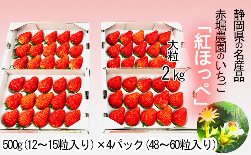 
２００３　静岡県産　大粒紅ほっぺいちご５００g×４P　48粒～60粒　イトウシャディ大東店
