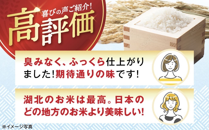  白米 コシヒカリ 18kg 米 お米 コメ 精米 kome こしひかり ご飯 ごはん ゴハン おにぎり 人気 おすすめ 長浜市