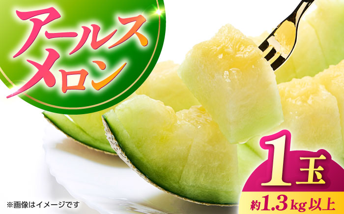【先行予約】アールスメロン　1玉　約1.3kg以上【くまふる】 [ZBG083]