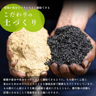 ふるさと納税 高原町 【令和8年産先行受付】霧島湧水が育む「きりしまのゆめ」特別栽培米 夏の笑み6kg TF267 |  | 03