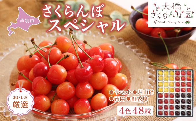 【先行受付】 厳選 さくらんぼ スペシャル 4色 48粒 北海道 芦別市 大橋さくらんぼ園