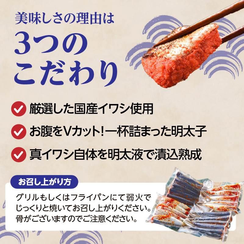 【博多漁師の里】福岡名物！いわし明太子２０尾（５尾×４パック）化粧箱入り 国産真いわし使用 化粧箱入り　国産真いわし使用 鰯 イワシ 旬 魚 めんたいこ ご飯のお供 おつまみ おかず 冷凍 真空パック