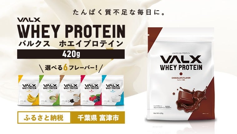 
                  【最短5営業日以内発送】VALX ホエイ プロテイン 420g 選べる6フレーバー バルクス 人気 国産 筋トレ トレーニング フィットネス 美容 健康 女性 ダイエット トレーニング 運動
                