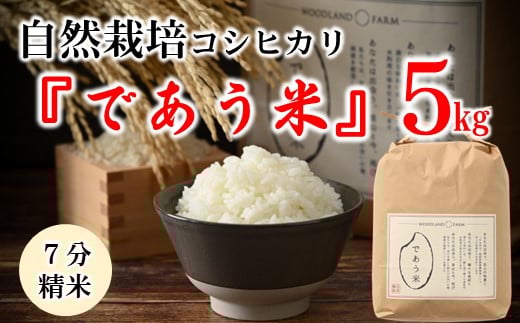 数量限定 米 5kg 令和7年産 新米 こしひかり 自然栽培 七分精米 栄養 豊富 お米 こめ おこめ ご飯 ごはん R7 2025年産 こだわり おいしい 美味しい であう米 石川県 能登 羽咋
