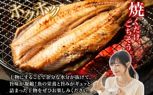 干物詰め合わせ 計22尾セット（あじ開き×7尾・ほっけ開き×7尾・金目鯛開き×8尾）