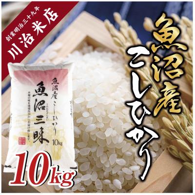 ふるさと納税 十日町市 【令和6年産】魚沼産コシヒカリ 「魚沼三昧(R)」10kg×1袋 新潟県 十日町市