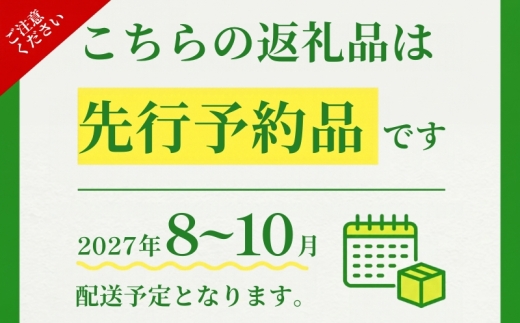 【2027年先行予約】山梨県産 シャインマスカット（粒）約500g