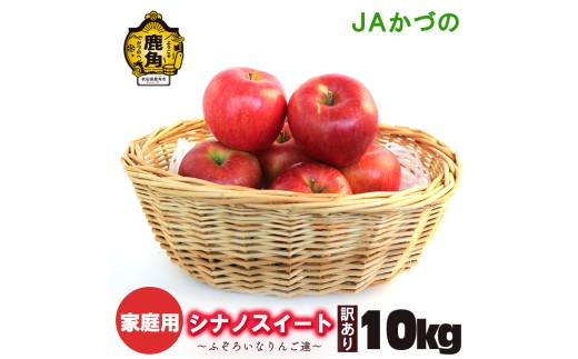 ふぞろいなりんご達（シナノスイート）10kg【JAかづの】●2026年10月中旬頃発送開始  訳あり 鹿角産 りんご シナノスイート 10kg 家庭用 規格外 お徳用 林檎 リンゴ 完熟 旬 県産りんご お中元 お歳暮 贈り物 お見舞い ギフト 秋田県 秋田 あきた 鹿角市 鹿角 送料無料 かづの農業協同組合