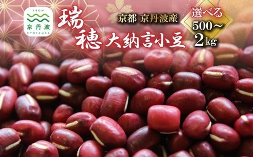 
            【2026年1月発送開始】 瑞穂大納言小豆 選べる 内容量 500g 1kg 1.5kg 2kg 【 地域限定 ブランド 小豆 あずき あんこ 赤飯 ぜんざい 京都 京丹波町産 国産 丹波 ご当地グルメ お取り寄せ 】 [008KK003X]
          