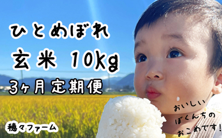 【新米予約受付】令和7年度産 ひとめぼれ 玄米10kg 3ヶ月定期便 ／ 岩手県産 国産 雫石町 産 農家 直送 産地 直送 米 こめ コメ ごはん ライス らいす ご飯 穂々ファーム