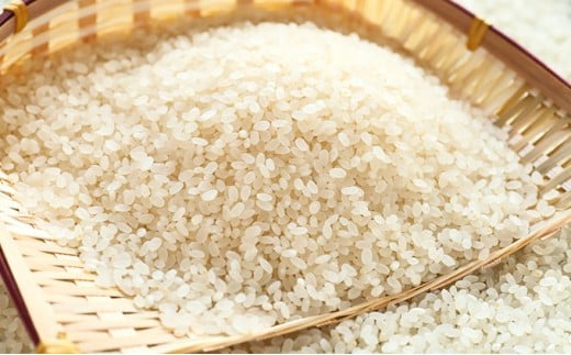 まるきんの丹波ひかみ米「ミルキークイーン」5㎏