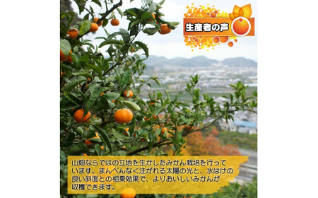 有田みかん約5kg　家庭用　頑固オヤジのこだわりみかん　※2024年11月中旬～2025年1月上旬頃より順次発送予定【krf004-c-5】