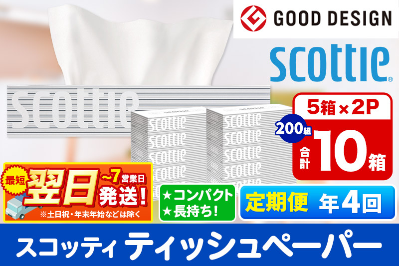 《3ヶ月ごとに4回お届け》定期便 ティッシュペーパー スコッティ 200組 10箱(5箱×2パック) ティッシュ 秋田市オリジナル