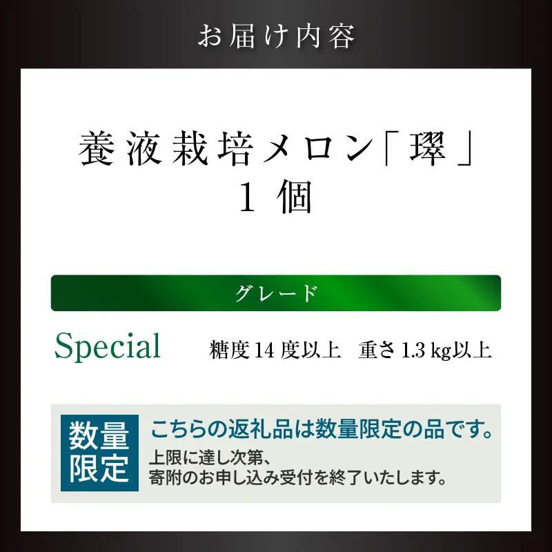 【お中元 外熨斗(短冊) 対応可能】養液栽培メロン「璻」1玉【Special】（糖度14度以上、重さ1.3㎏以上）【熨斗対応可能】