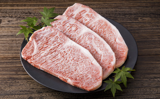 伊万里牛 美味組み合わせ 定期便 【５回便】ステーキ すき焼き 焼肉  J616_イメージ3