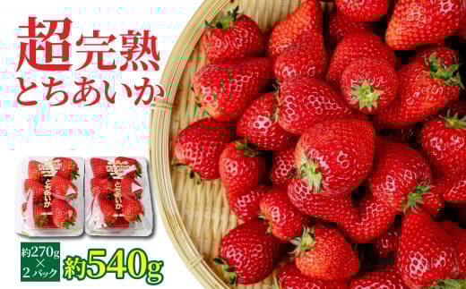 【先行受付：1月中旬以降発送】いちご 「茂木完熟いちご」　矢野農園 とちあいか レギュラーサイズ 約270g × 2パック 合計 約540g | いちご イチゴ 苺 とちあいか 完熟 甘い あまい 果物 フルーツ 矢野農園 栃木県 茂木町