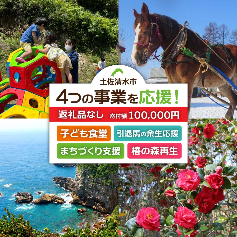 【ふるさと納税】一括寄附で4つの事業を応援！返礼品なし 100,000円（子ども食堂・引退馬の余生応援・椿の森再生・まちづくり支援）10万円 子供 子育て 福祉 動物保護 自然保護 環境整備 教育 自然 高知県 高知 土佐清水 故郷納税 ふるさとのうぜい 返礼品【R01226】