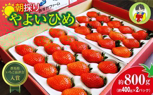 やよいひめ400g × 2パック｜コク 甘み 朝採れ やよいひめ 大粒 甘み 酸味 バランス 贈答用 新鮮 完熟 いちご 旬 苺 ストロベリー 産地直送 果汁 甘い あまい 人気 高評価 減農薬 美容 健康 旨味 高糖度 ごほうび 群馬県 前橋市 R3-26