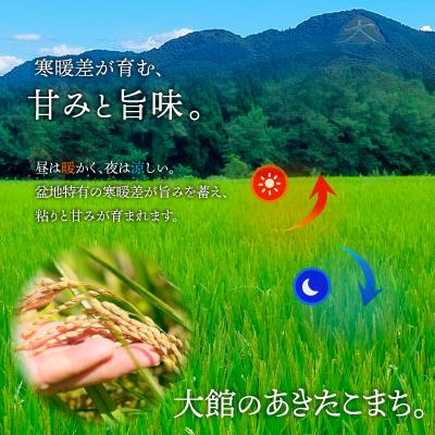 ふるさと納税 大館市 【令和7年産】秋田県大館産あきたこまち　10kg(5kg×2) |  | 01