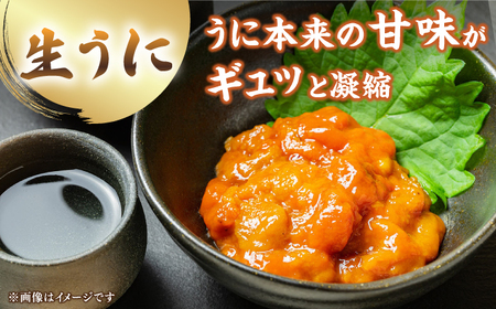 【先行予約】生うに 一汐うに セット【2026年6月以降順次発送】 [JAQ024] うに