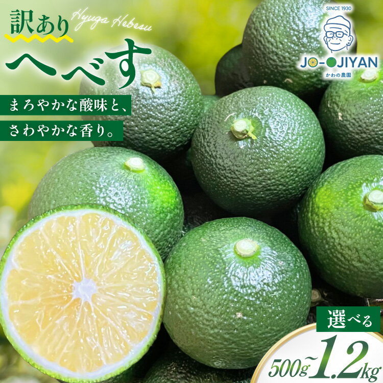 【ふるさと納税】【期間限定発送】 へべす 訳あり 選べる 内容量 宮崎 無農薬露地へべす 500g〜1.2kg [かわの農園 宮崎県 日向市 452061175] 先行予約 家庭用 国産 ヘベス 訳アリ
