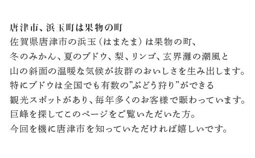 たくさんの優良品種がある阿徳ぶどう園の巨峰。
1度食べてしまったら、忘れることの出来ない、そんなぶどうです。