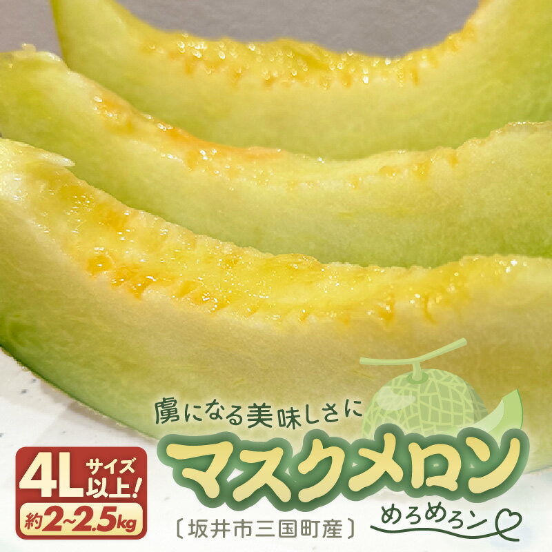 【ふるさと納税】【先行予約】 マスクメロン 4Lサイズ以上 1玉 （約2〜2.5kg） 虜になる美味しさにめろめろン 【2025年10月下旬以降順次発送予定】【メロン めろん フルーツ デザート 果物 くだもの 果実 青肉 糖度 甘い ジューシー お取り寄せ グルメ 産地直送】
