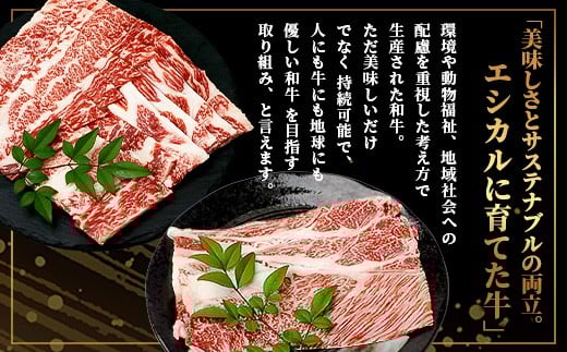 くまもとあか牛 肩ロース＆バラセット 400g 