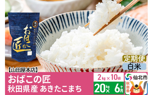 
【白米】《定期便6ヶ月》令和5年産 仙北市産 おばこの匠 20kg（2kg×10袋）×6回 計120kg 6か月 6ヵ月 6カ月 6ケ月 秋田こまち お米 秋田県産あきたこまち
