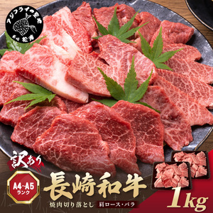 訳あり！長崎和牛焼肉切り落とし(肩ロース・バラ)1kg(500g×2P)( 牛肉 おすすめ 長崎和牛 バーベキュー 焼肉 切り落とし 冷凍 国産 送料無料 )【181-0033】