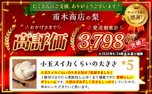 梨 約 5kg 2026年 予約 佐賀県産 | 果物 フルーツ