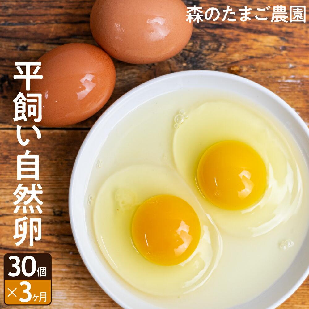 【ふるさと納税】定期便 たまご 卵 3ヶ月 30個セット 3回 自然卵 平飼い お取り寄せ 新鮮 ニワトリ 玉子 人気 おすすめ 岐阜 高山 送料無料 LW102