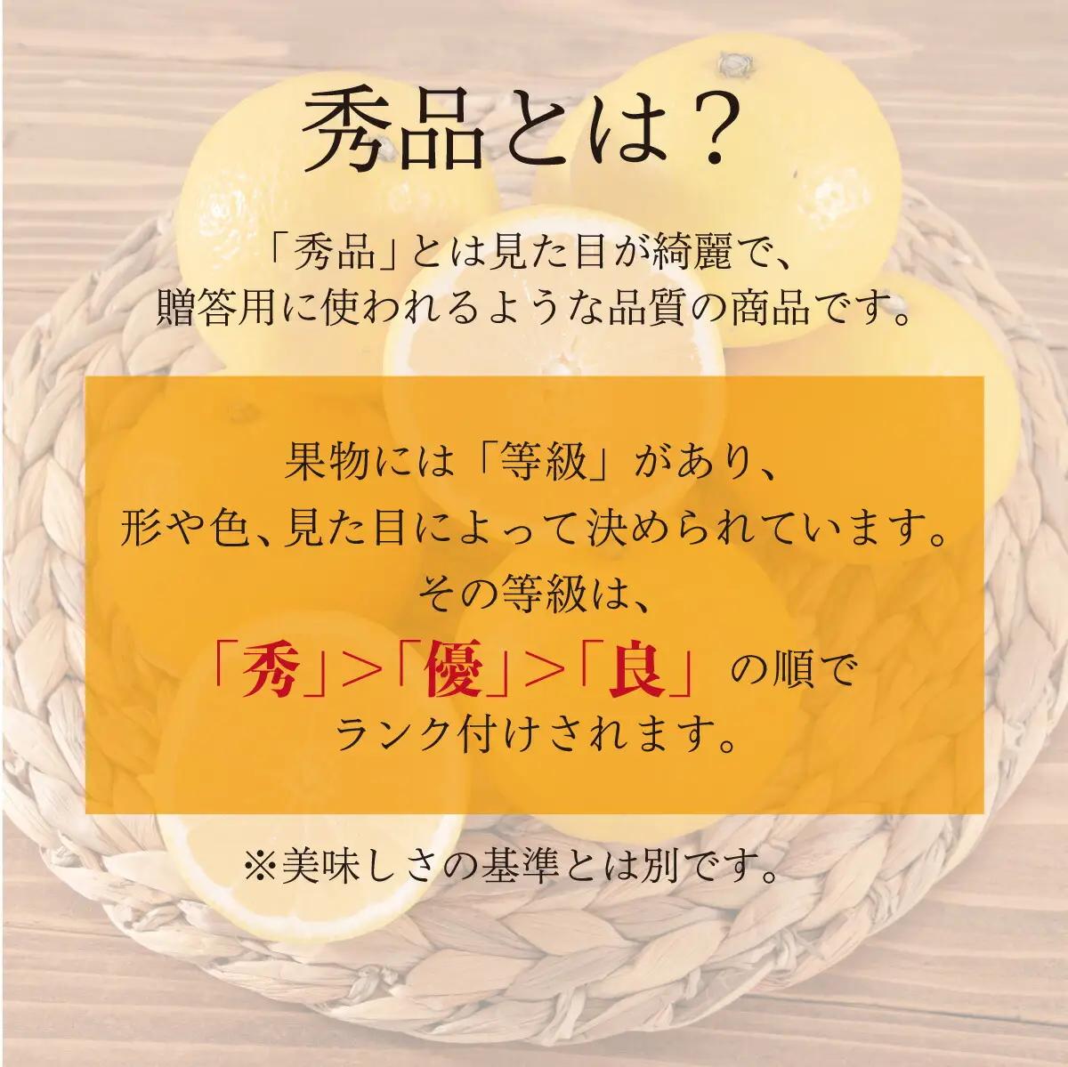 【秀品】西内小夏　2kg　N56 [NU-07] 【西内農園】