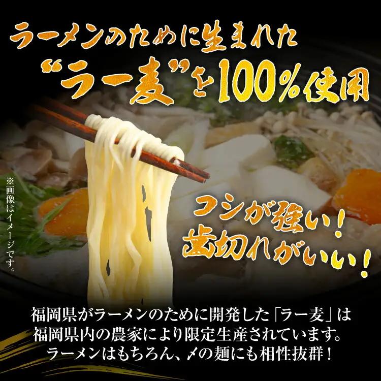 福岡限定 はかた地どり美人水炊きセット 2～3人前 お取り寄せグルメ お取り寄せ お土産 九州 福岡土産 取り寄せ グルメ MEAT PLUS CP039