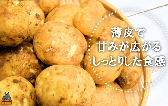 薄皮で甘みがあり、どんなお料理に入れても、新じゃがの美味しさが伝わります。