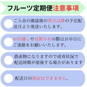 【全4回】南信州産　旬のフルーツ定期便