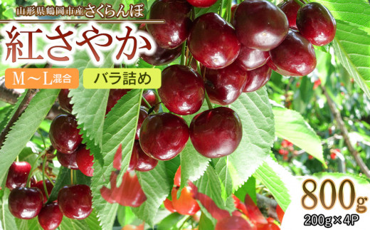 【令和9年産先行予約】 鶴岡市産 さくらんぼ　紅さやか　M～Lサイズ　フードパック詰800g　(200g×4) 　【五十嵐　茂也】　| サクランボ チェリー 紅さやか 果物 くだもの フルーツ 800グラム 甘い 完熟 旬 産地直送 人気 美味しい 2027年産 お取り寄せ 山形県 鶴岡市 東北 返礼品