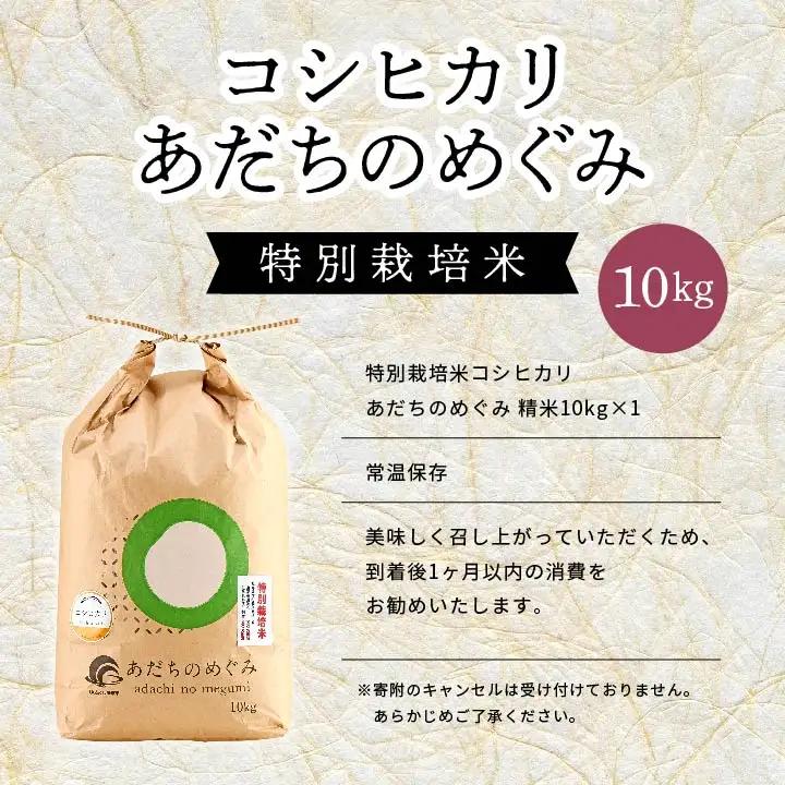 米 令和7年産 コシヒカリ 10kg 特別栽培米 JAふくしま未来【こらんしょ市】