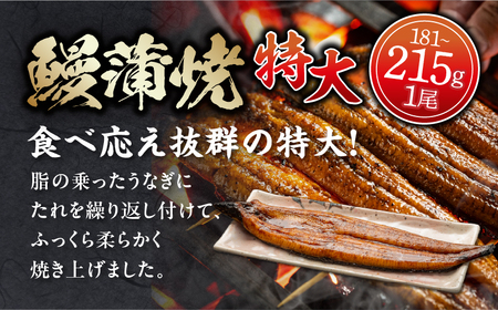 うなぎ 国産 蒲焼 1尾 うなぎ[きざみ・肝焼き付]