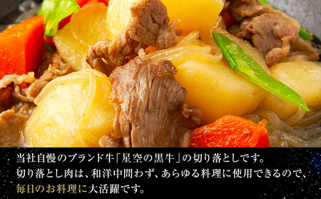 【3か月 定期便】北海道産 星空の黒牛 切り落とし 約1kg（500g×2） 牛肉【牛肉切り落とし牛肉切り落とし牛肉切り落とし牛肉切り落とし牛肉切り落とし牛肉切り落とし】