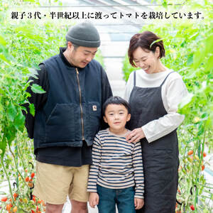 ミニトマト アイコ 約4kg トマト トマト トマト トマト トマト