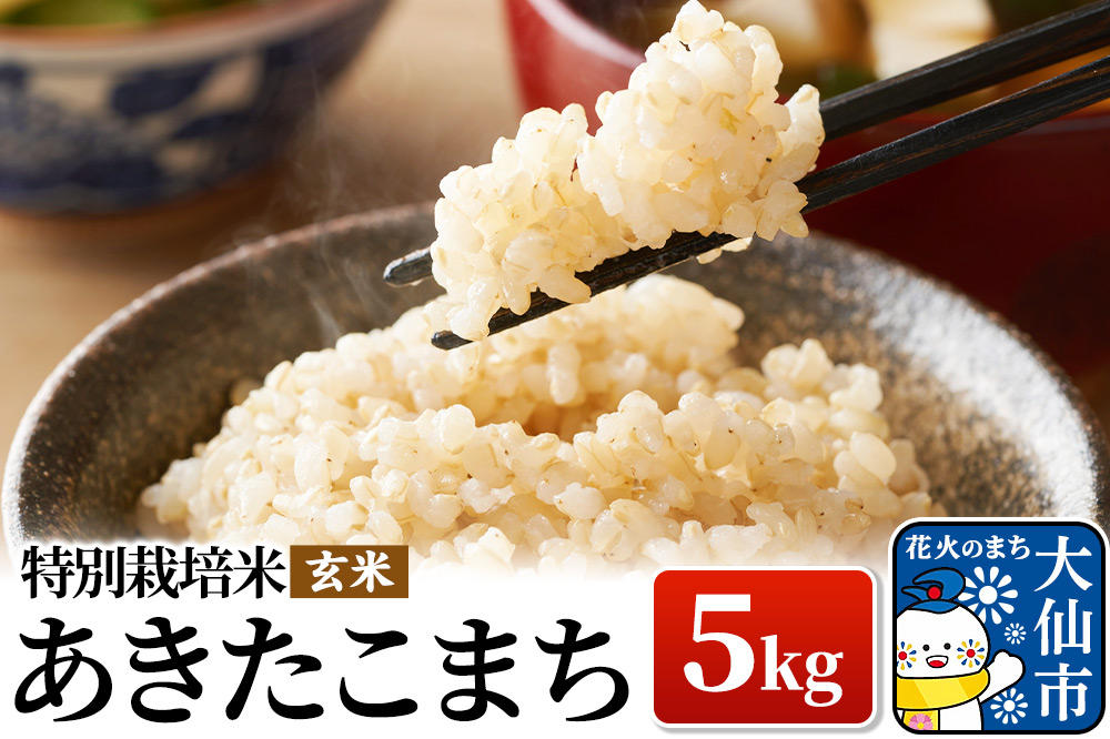 新米 米 令和7年産【特別栽培米】あきたこまち【玄米】5kg