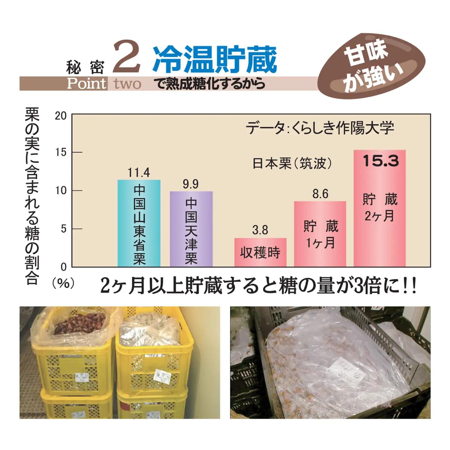 先行予約10月中旬より発送 焼き栗食べ比べ 約400g×2種くまさんの焼き栗AYDQ001
